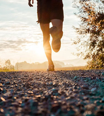 威客电竞·(中国)VKGAME